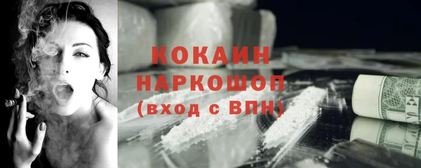 шишки Киренск