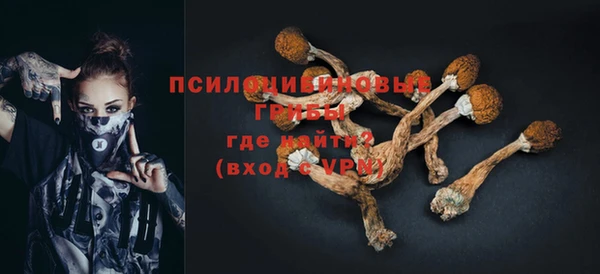кокс Корсаков