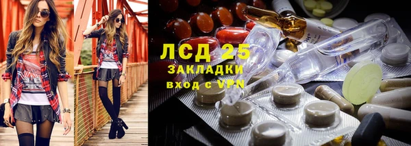 кокс Корсаков