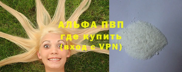 кокс Корсаков