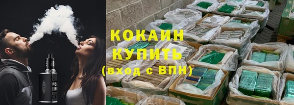 шишки Киренск