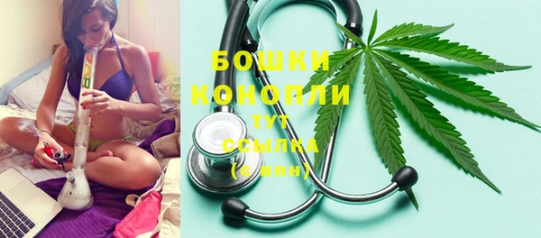 шишки Киренск