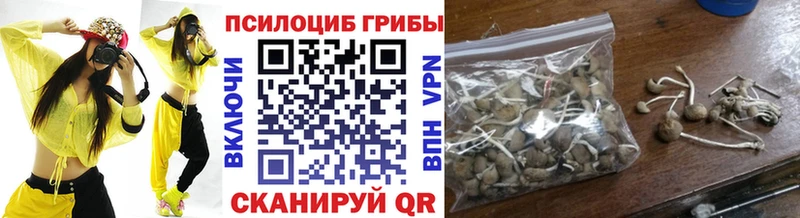 Псилоцибиновые грибы мухоморы  купить закладку  Мглин 